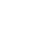 Bible Bible